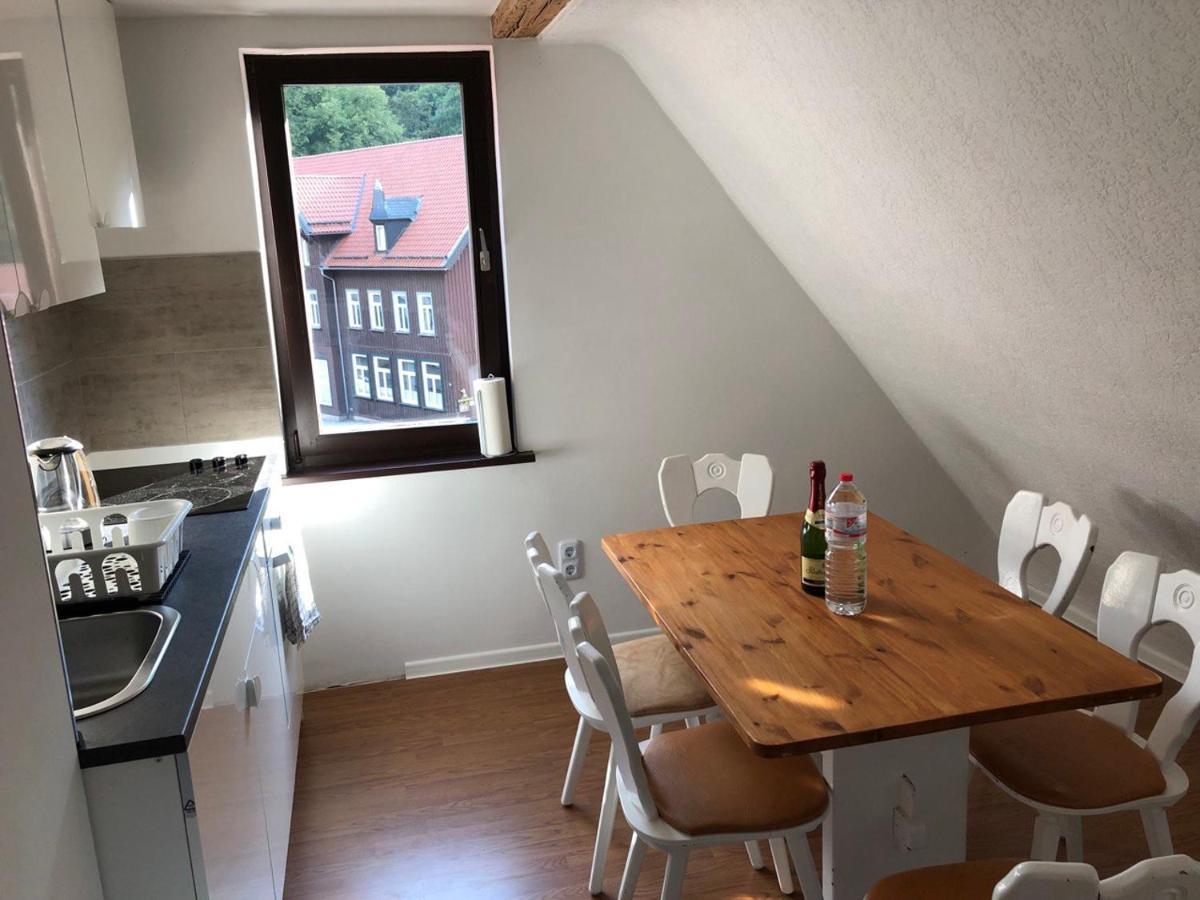 Ferienhaus Art Apartment - Harz Zorge 外观 照片