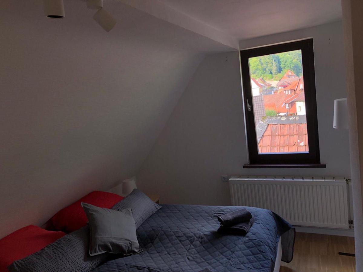 Ferienhaus Art Apartment - Harz Zorge 外观 照片