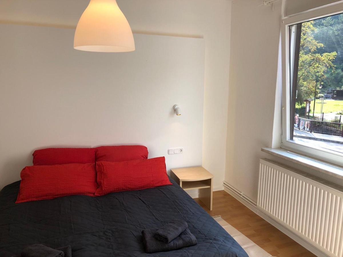 Ferienhaus Art Apartment - Harz Zorge 外观 照片