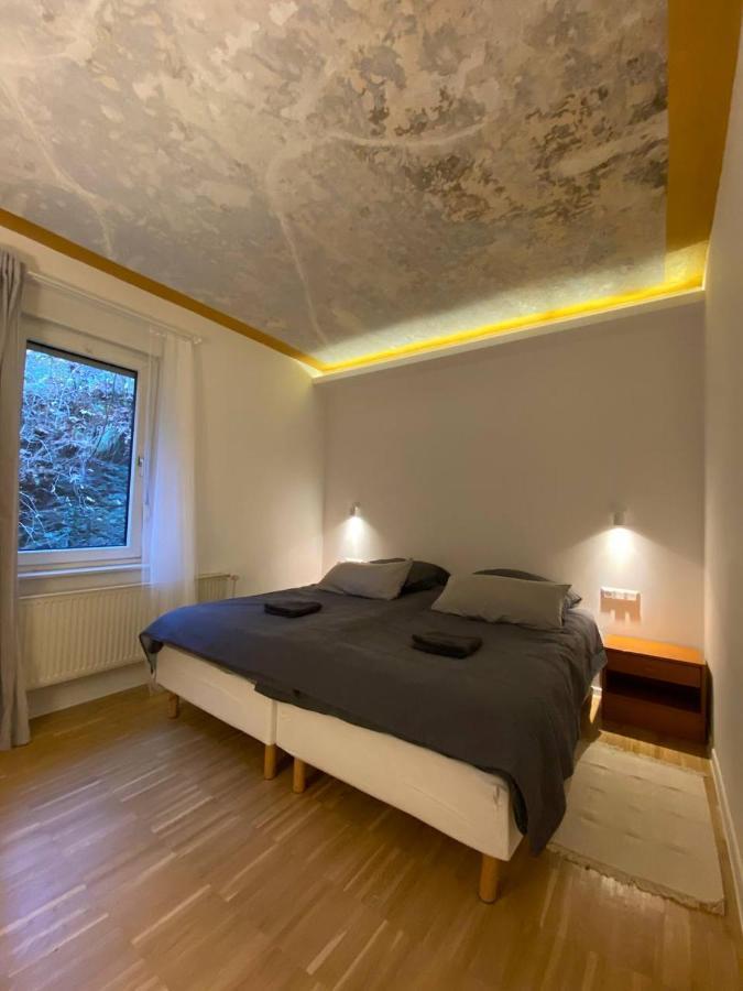 Ferienhaus Art Apartment - Harz Zorge 外观 照片