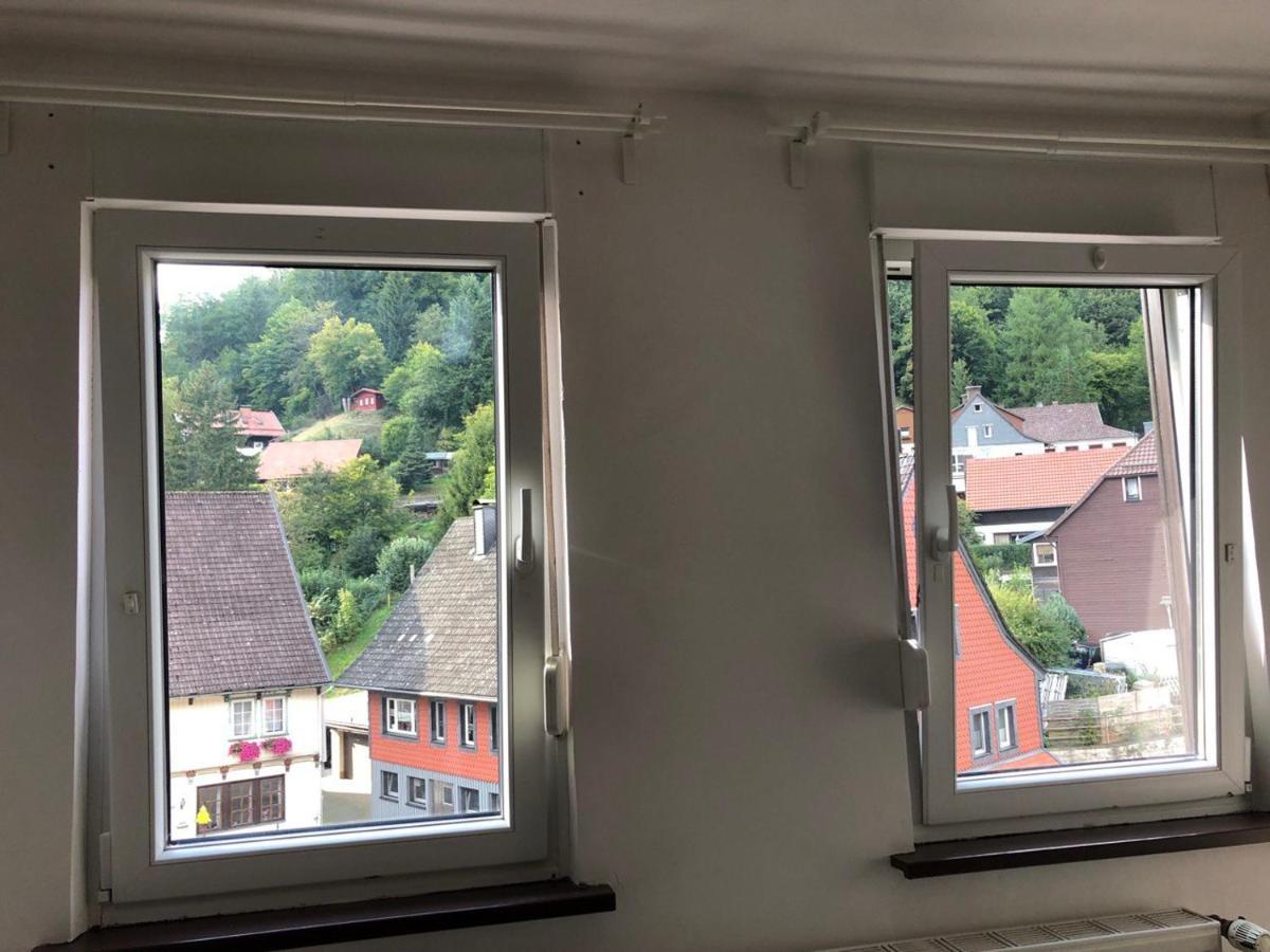 Ferienhaus Art Apartment - Harz Zorge 外观 照片