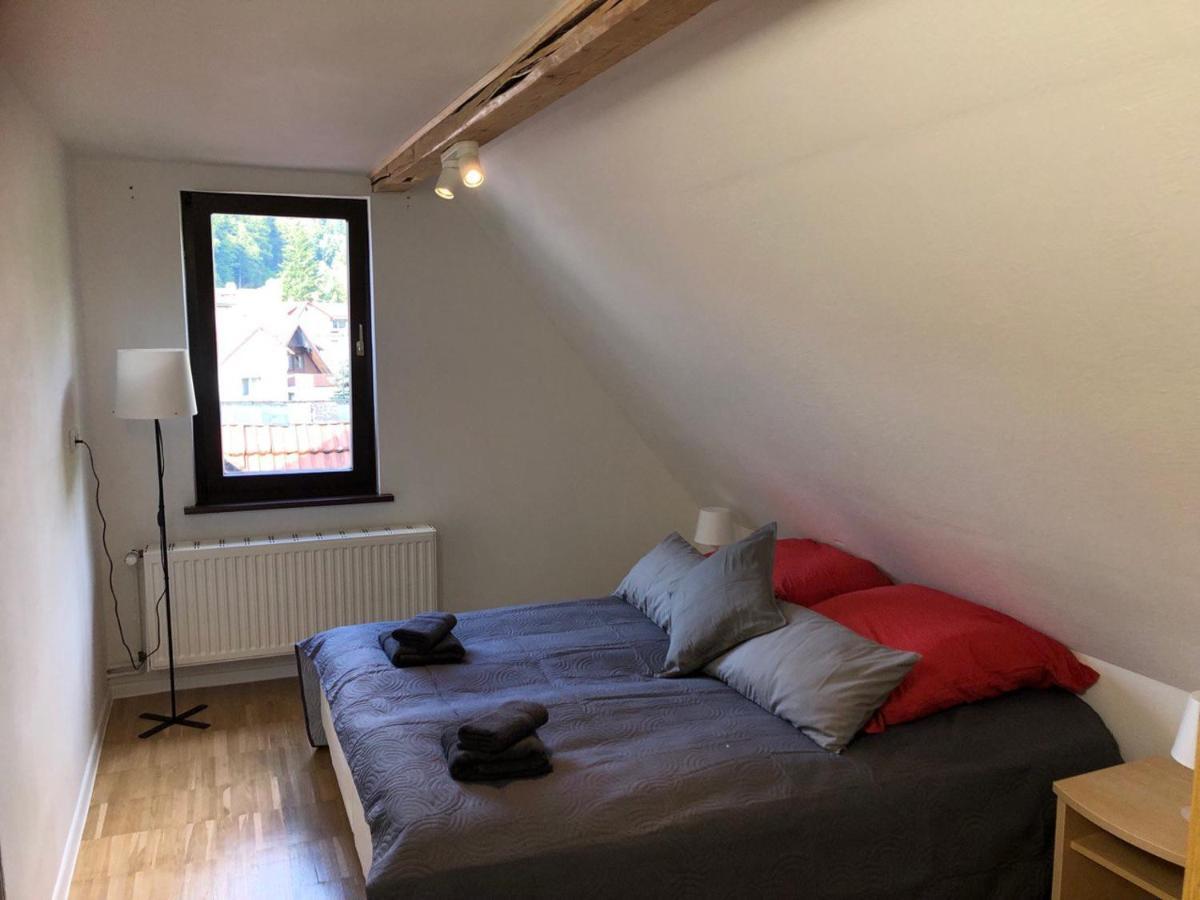 Ferienhaus Art Apartment - Harz Zorge 外观 照片