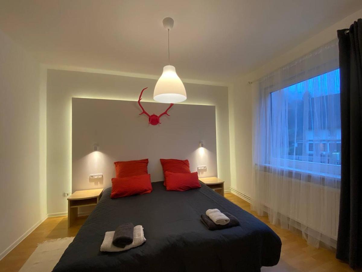 Ferienhaus Art Apartment - Harz Zorge 外观 照片