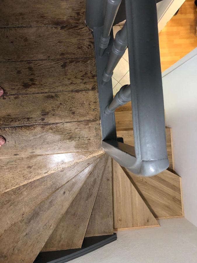 Ferienhaus Art Apartment - Harz Zorge 外观 照片