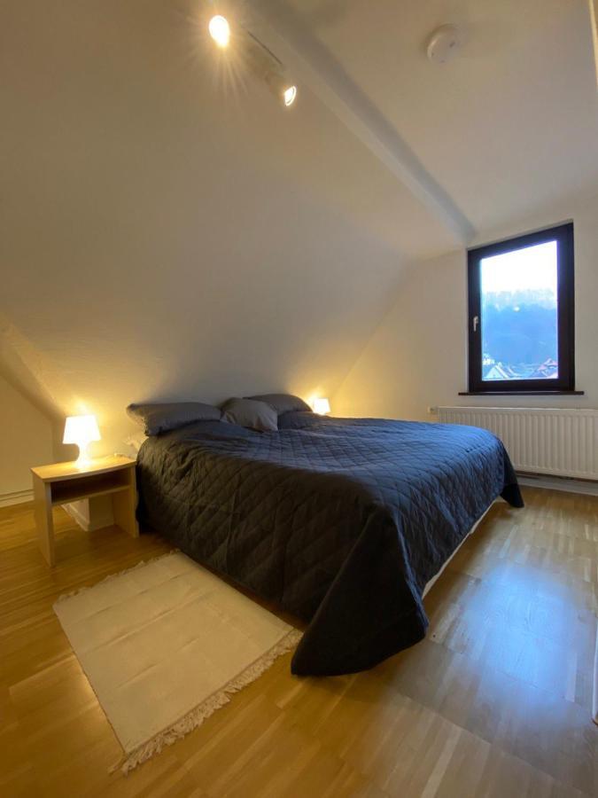 Ferienhaus Art Apartment - Harz Zorge 外观 照片