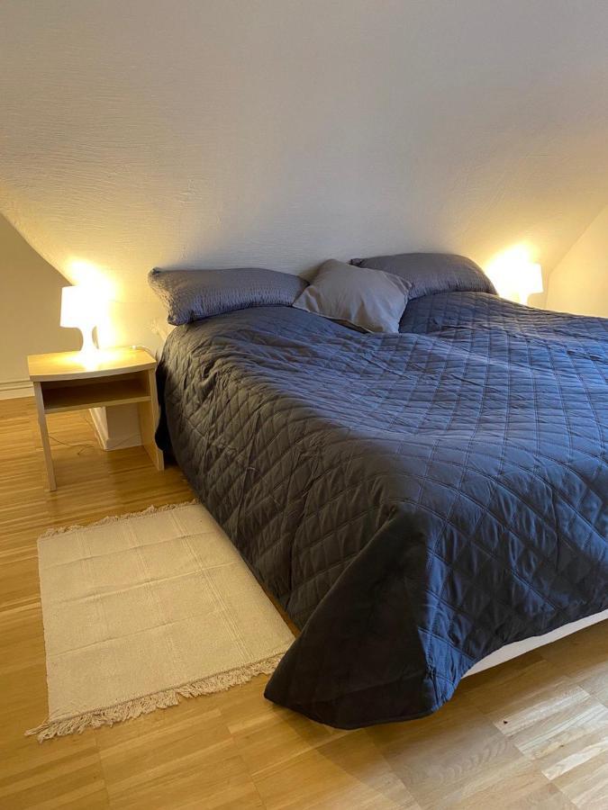 Ferienhaus Art Apartment - Harz Zorge 外观 照片