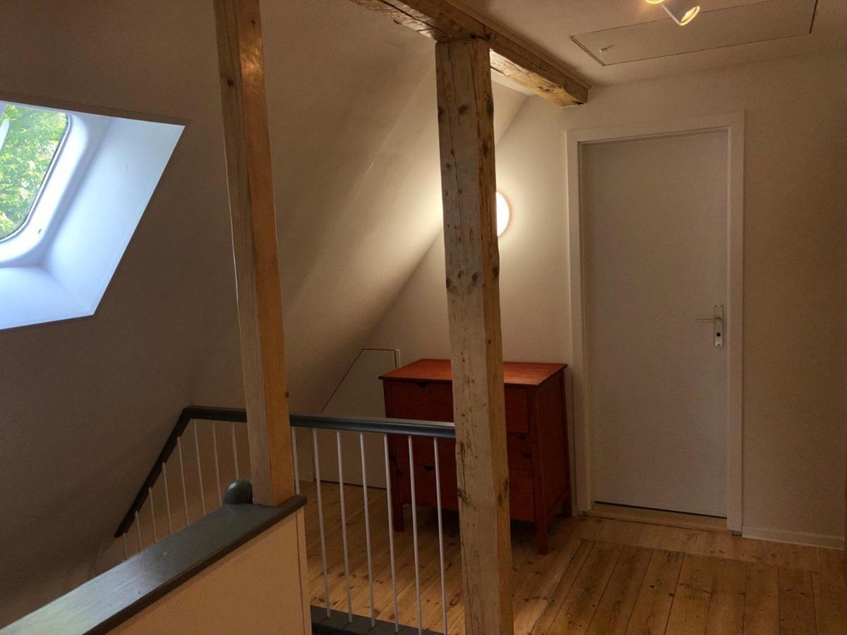 Ferienhaus Art Apartment - Harz Zorge 外观 照片