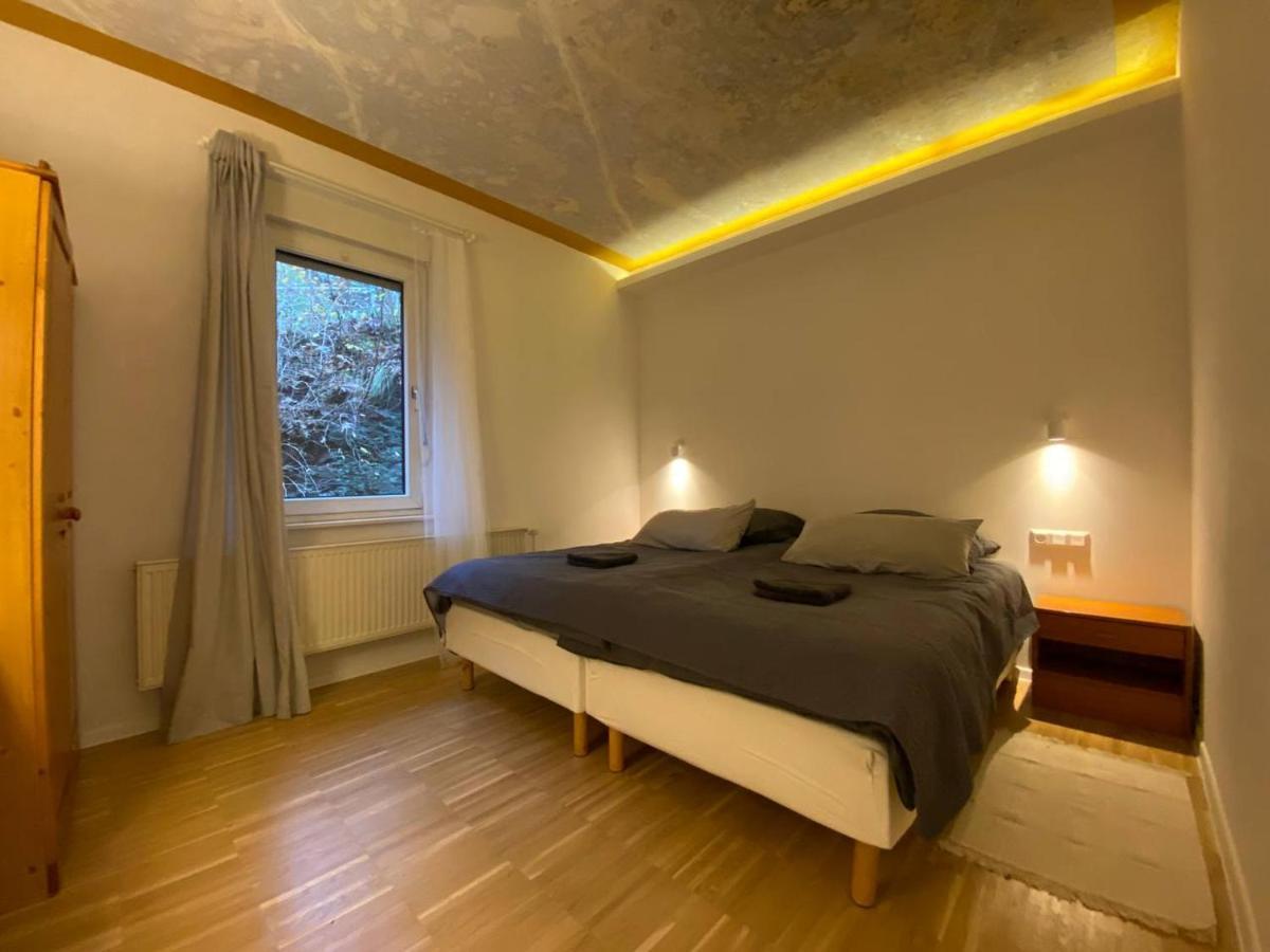 Ferienhaus Art Apartment - Harz Zorge 外观 照片