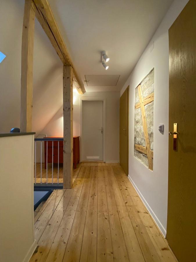 Ferienhaus Art Apartment - Harz Zorge 外观 照片