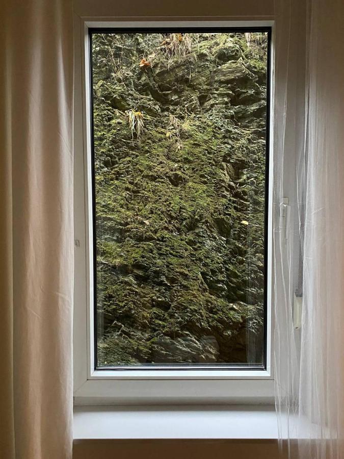 Ferienhaus Art Apartment - Harz Zorge 外观 照片