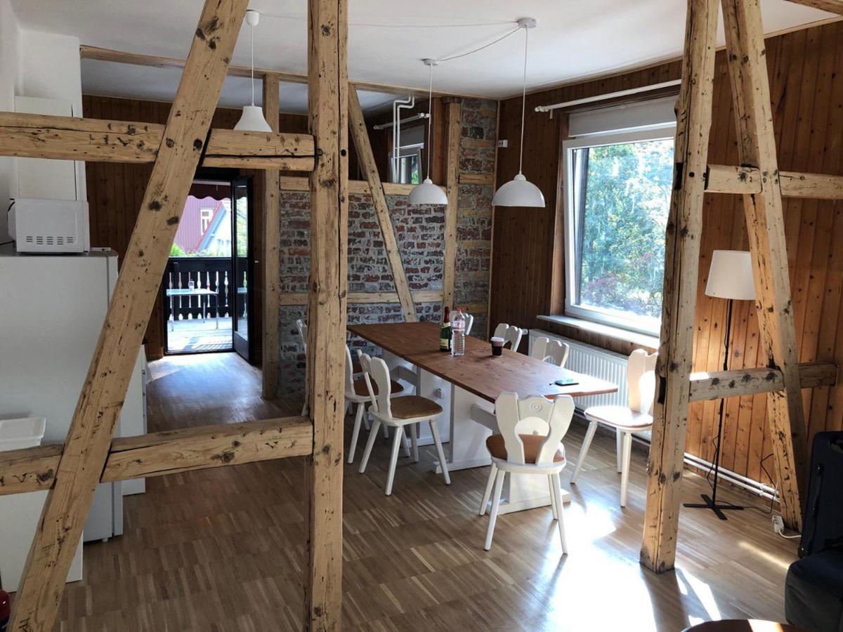 Ferienhaus Art Apartment - Harz Zorge 外观 照片